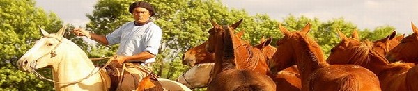 San Antonio de Areco - Da de la Tradicin