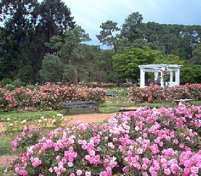 Paseo del Rosedal - Buenos Aires