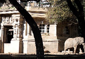 Zoo - Buenos Aires